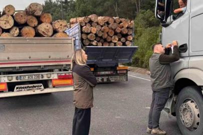 Sinop’ta orman ekipleri yasa dışı faaliyetlere karşı teyakkuzda