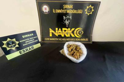 Şırnak’ta narkotik ve asayiş operasyonları: 104 şüpheli yakalandı, 9’u tutuklandı
