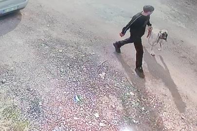 Siverek’te Kangal köpeğin çalınma anı kamerada