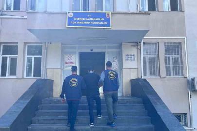Siverek’te tel hırsızı yakalandı