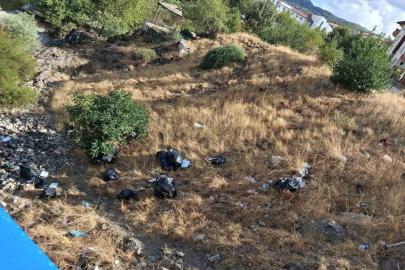 Tarihi Haburman Köprüsü civarına dökülen çöpler tepkiye neden oldu