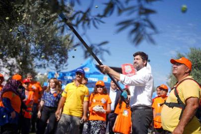 Tarsus’ta zeytinler lösemili çocuklar için toplandı