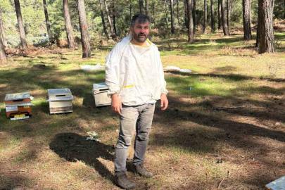 Tecrübeli arıcıdan bal tavsiyeleri: "Mevzuata uygun her bal, en kaliteli bal değildir"