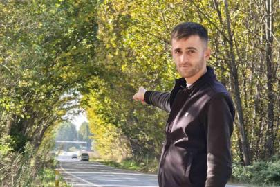 Tokat’ta kavak ağaçlarından sonbahar tüneli