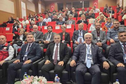 Türkiye kaz yetiştiriciliğinde dünyada 7’nci sırada