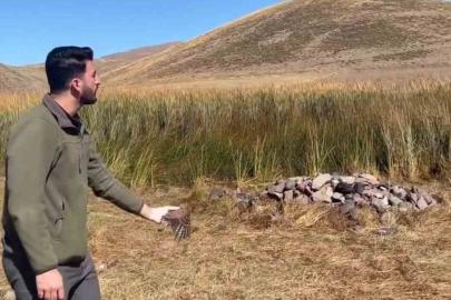 Tuzluca’da bulunan kerkenez doğaya bırakıldı