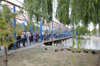 Ücretsiz hayvanat bahçesi uygulamasına yoğun ilgi