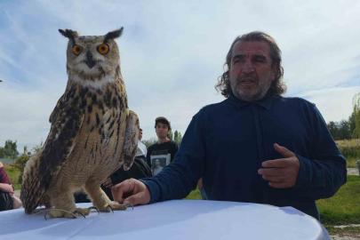 Van YYÜ’de ’Dünya Göçmen Kuşlar Günü’nde anlamlı etkinlik: Tedavisi tamamlanan şahin doğaya bırakıldı
