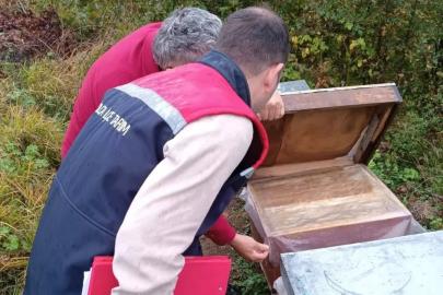 Yığılca’da ekipler sahada tek tek sayıyor