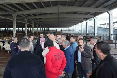 Yılmaz’dan et müjdesi