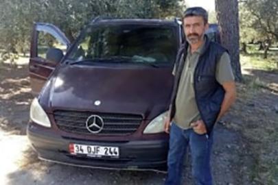 Zeytin toplarken arı soktu hayatını kaybetti